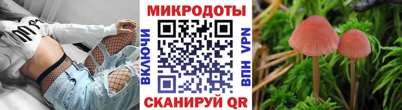 ссылка на мегу зеркало  как найти наркотики  Мамадыш  Галлюциногенные грибы GOLDEN TEACHER 